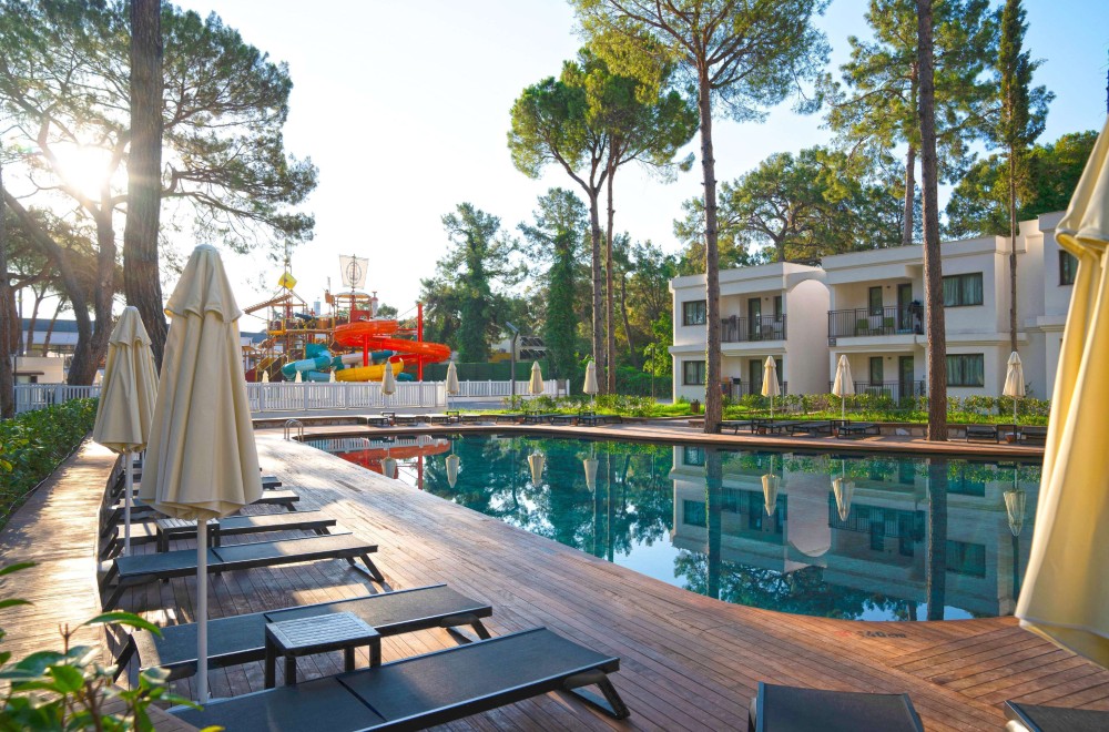 Siu Collection - Foto 2